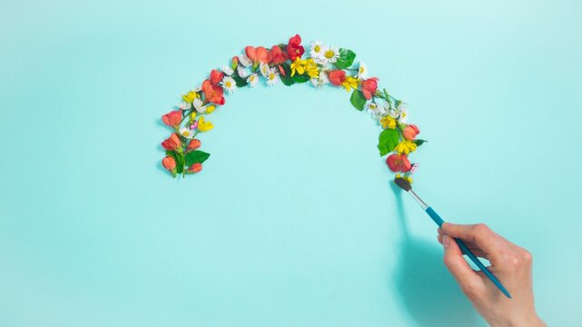 Woman's hand draws semicircle with brush from natural flowers, buds and young ones on light blue background with copy space.