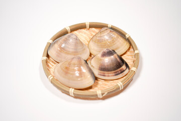 新鮮なハマグリのイメージ画像