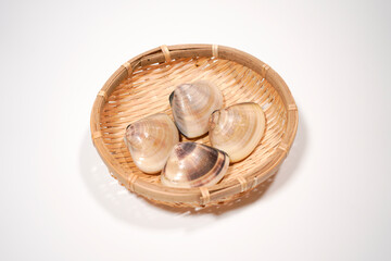 新鮮なハマグリのイメージ画像	
