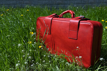 
Red travel retro suitcase. Red bag.
valise stands on green grass with small flowers.
Solid red travel handbag. A complete comfortable vintage accessory.