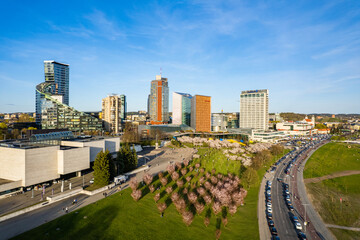 Aerial spring sunny evening sunrise view of Sakura Tree Park in Vilnius, Lithuania