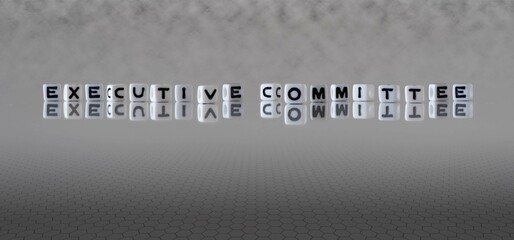 executive committee word or concept represented by black and white letter cubes on a grey horizon background stretching to infinity
