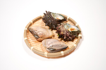 サザエとハマグリのイメージ画像	