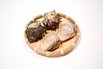 サザエとハマグリのイメージ画像	