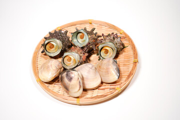 サザエとハマグリのイメージ画像