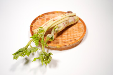 新鮮なウドのイメージ画像	