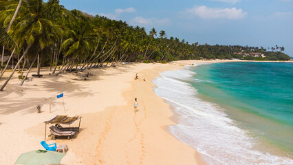 Tropical landscape, paradise beach, palm trees and ocean, travel drone photo.