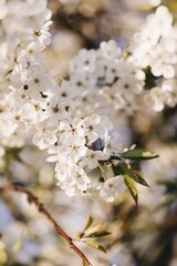 Processed with VSCO with a6 preset