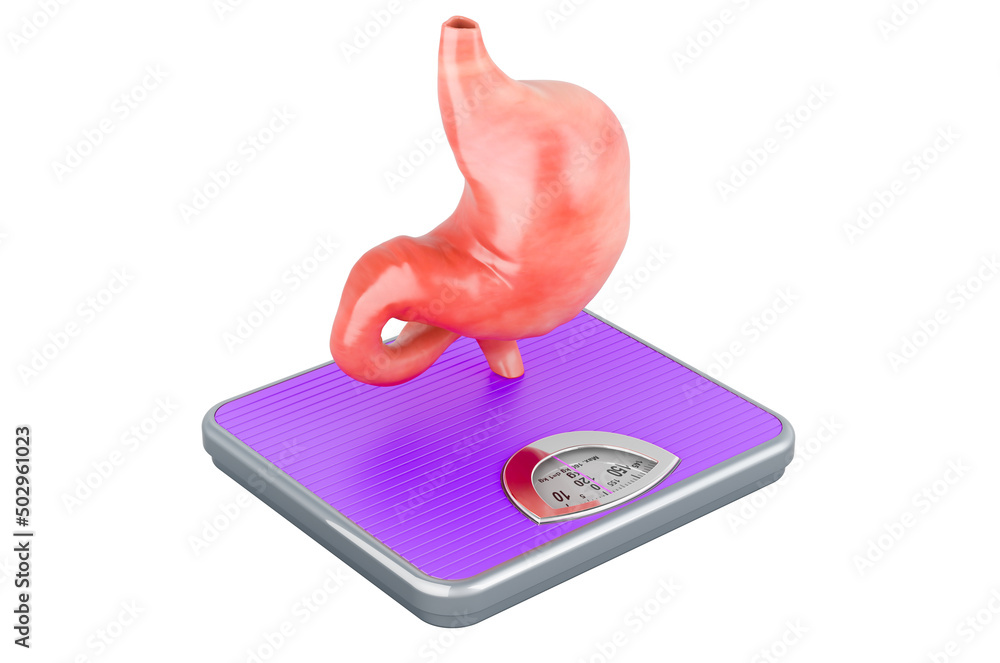 Poster weight scale with stomach. 3d rendering