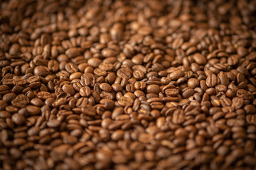 Many coffee beans background. Background with coffee