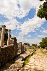 Altalia, Sepino, Molise-scavi della città romana