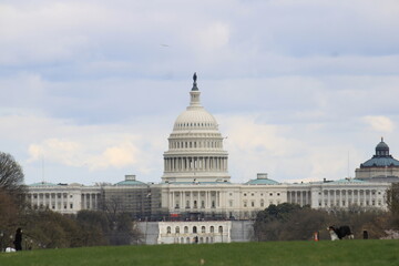 Fototapeta premium capitol building