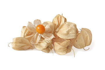Pile cape gooseberry with an open cocoon isolated on white
