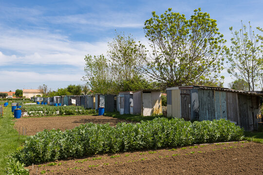 jardins potagers familiaux en ville