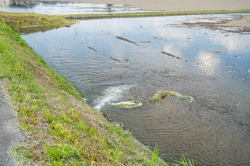 田んぼの水入れ