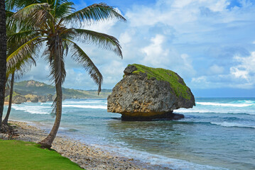 Barbados, Insel Küste Felsen