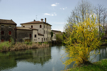 Fototapeta na wymiar Meschio river flows between the houses. Bush with yellow flowers in the foreground. Pinidello, Treviso, Italy.