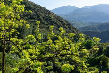 PANORAMIC VIEW OF SOME MOUNTAINS IN ANDALUCIA