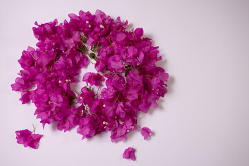 Circle from fresh purple flowers on a white background.