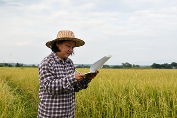 Portrait of Asian elderly woman who’s standing and holding pen and white notebook by her rice paddy field, concept for writing growing information to remind later.