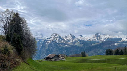 Roggenstock in der Schweiz