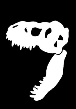 recommend clip art: Graphical silhouette of skull of tyrannosaurus isolated on black background,vector element,paleontology