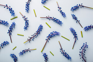 blue flowers on a blue background beautiful composition