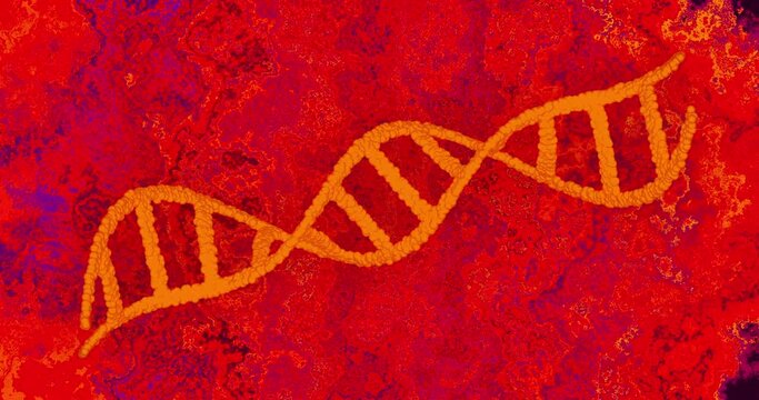 Animation of dna strand over red background