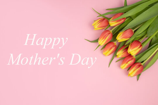 Tulips yellow-red, on a pink background and text HAPPY MOTHER'S DAY, in white. Concept for greeting card, gratitude, invitation, congratulation. High quality photo