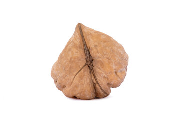 Ugly walnut is isolated on a white background. Different angles. 