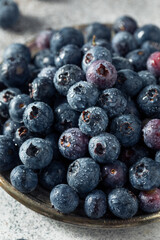 Raw Blue Organic Blueberries