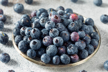 Fototapeta na wymiar Raw Blue Organic Blueberries