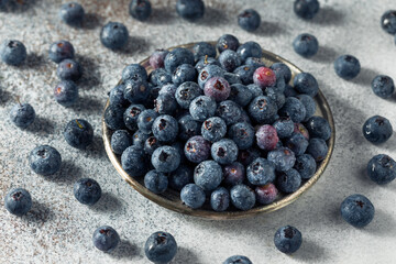 Raw Blue Organic Blueberries