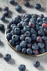 Raw Blue Organic Blueberries