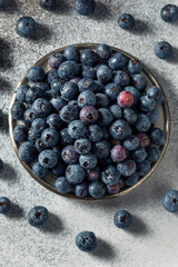 Raw Blue Organic Blueberries