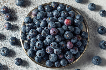 Raw Blue Organic Blueberries