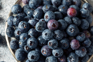 Raw Blue Organic Blueberries