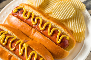 Homemade American Hot Dog with Mustard