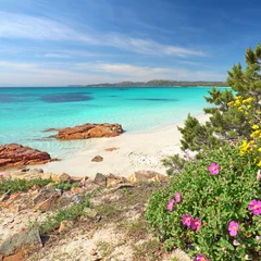 Keuken foto achterwand Palombaggia strand, Corsica Frühling auf Korsika, 