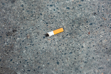 Cigarette pollution 