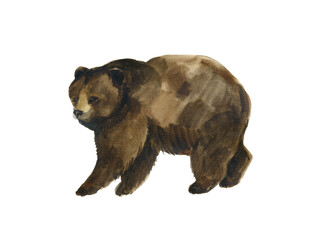 Watercolor bear on the white background. Fabric decoration. Forewst animals. Russia symbol animal.