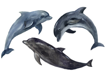 Watercolor dolphins illustartion. Watercolor cute sea life. Atlantic ocean. Watercolor cute dolphin. Nautical animals drawing. Design funny animal