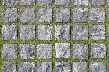 paving stones with moss