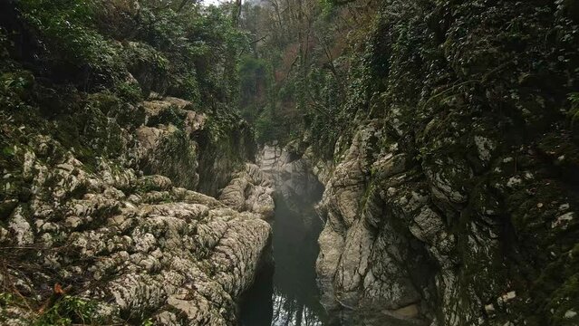 River in a narrow canyon with white rocks. Yew boxwood grove, Devil's Gate Gorge. Drone view. White cliffs and the hosta river in the foggy haze of autumn. Sochi, Krasnodar Territory