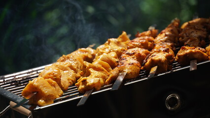 Shashlik - traditional Georgian barbecue. Closeup of raw roasted marinated meat barbecue shish...