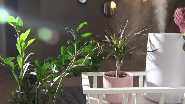 Modern white humidifier, aroma oil diffuser at home. Improving the comfort of living in the house, improving indoor humidity. Ultrasonic steam technology.