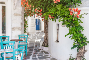 Fototapeta na wymiar Narrow street with white houses, Greece
