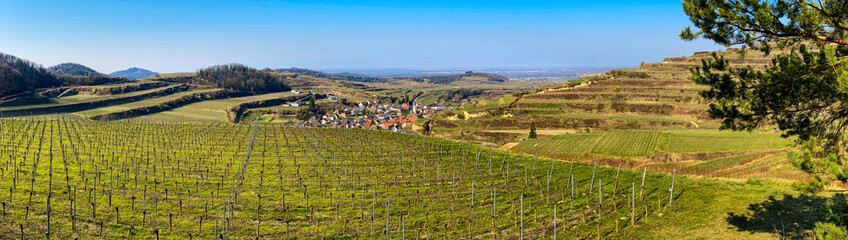 Fototapeta na wymiar Bickensohl_Panorama_1998