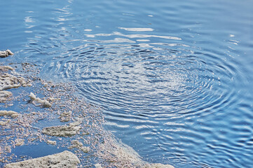 Circles diverge on the water from the place where the stone fell. Spring ice drift. Slush and ice fragments on the surface of the river. Abstract natural background.
