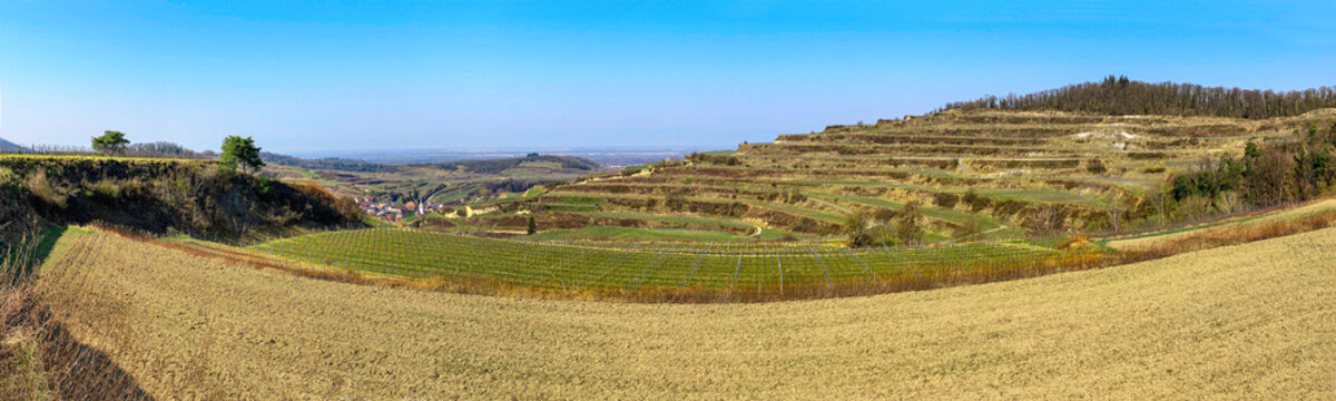 Kaiserstuhl_Bickensohl_1995